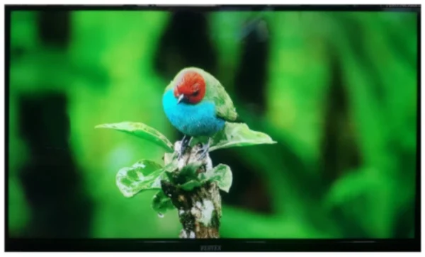 Vertex AEE24D208S 24 Inch Smart Android LED TV Price in Bangladesh